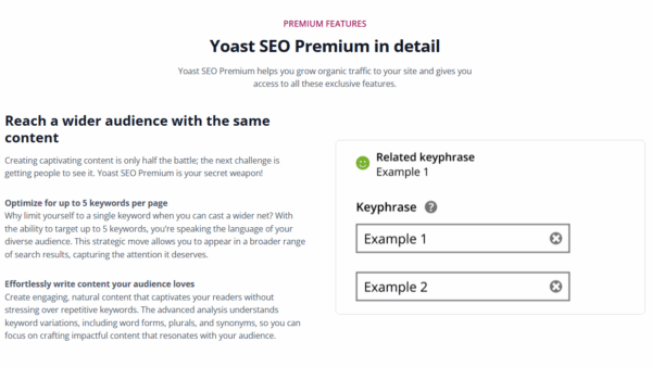 Yoast-SEO-Premium-2